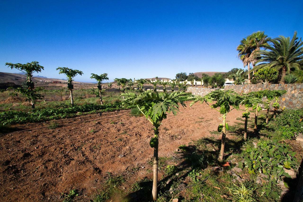 Finca Arbequina Pájara Dış mekan fotoğraf